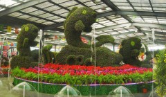 2020北京花卉园艺博览会京城亮相