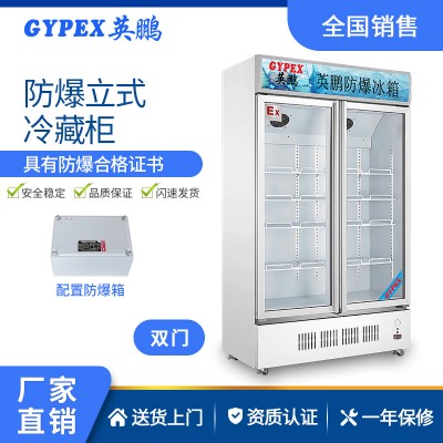 安徽工业防爆冰箱-立式双门冷藏柜 680L
